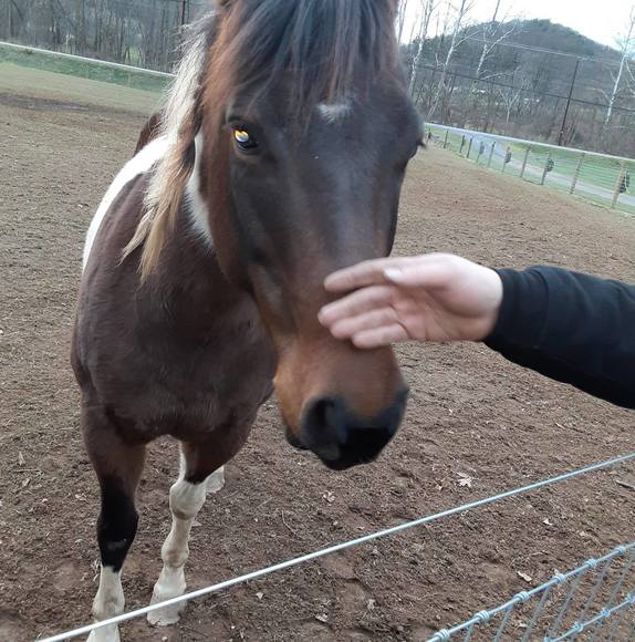 Meet your Posher, Cleveland - Picture 1 of 1